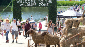 Countryfile Live has its own Wildlife Zone